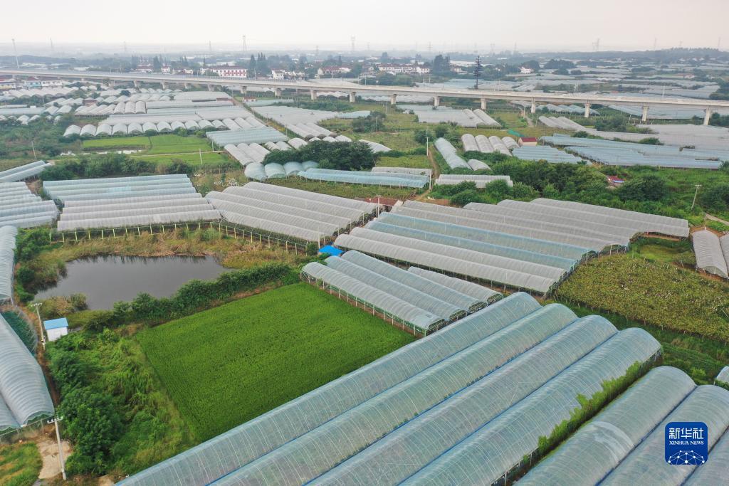 2978游戏手机版官网下